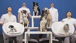 OK-Go-White-Knuckles-20100920