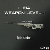 L118A mw3 - Immagine