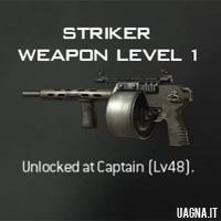 Striker mw3 - Imagine 200x200