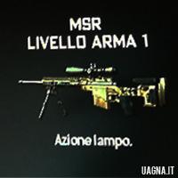 Msr mw3 - Immagine