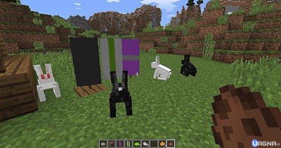 minecraft conigli