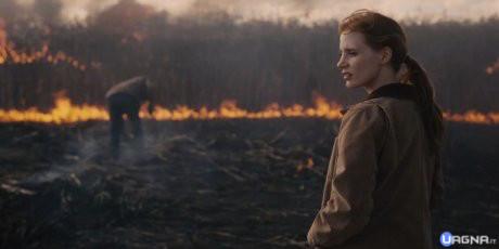 Interstellar-Jessica-Chastain-460x230