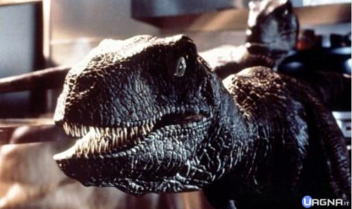velociraptor