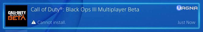 impossibile installare beta bo3