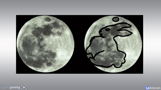 conigliogiadadestiny