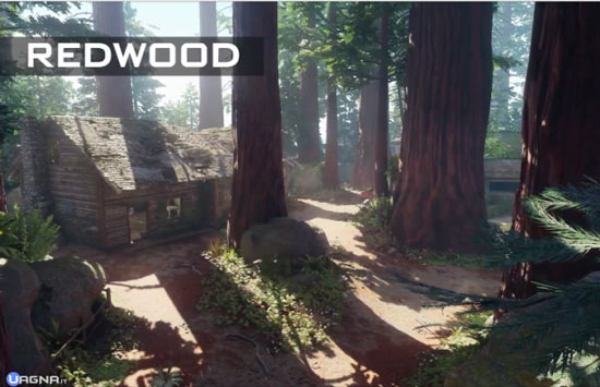 bo3redwood