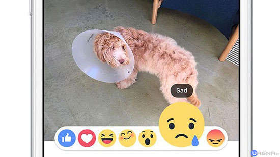 facebook-reactions