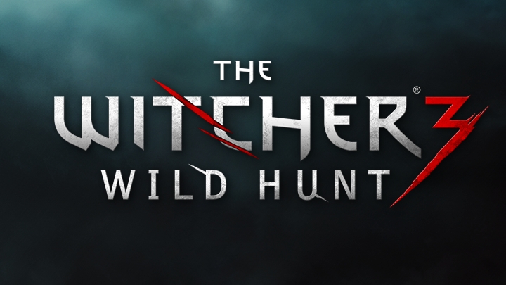 the witcher 3 uagna