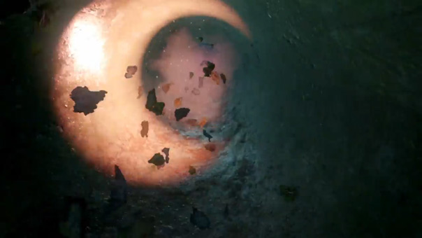 zetsubou no shima trailer