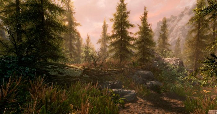 skyrim special edition grafica