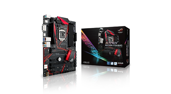 ASUS Scheda Madre B250