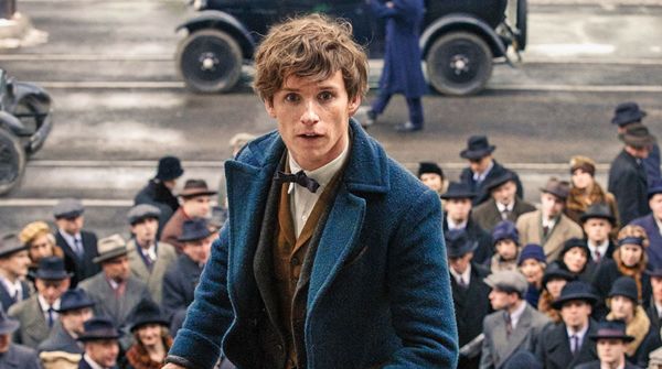 newt scamander