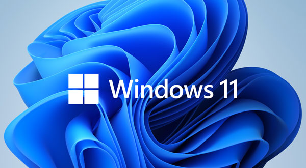 Windows 11 Logo